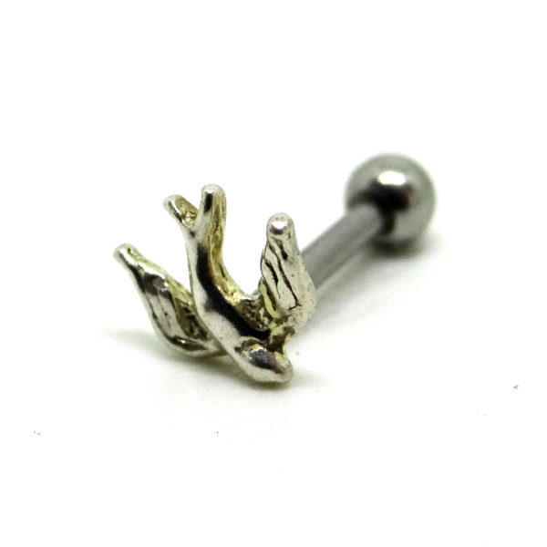 Mini Barbell Aço Pássaro