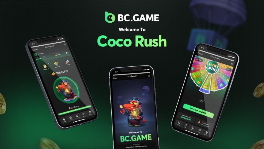 A Comprehensive Guide to BC.GAME Casino