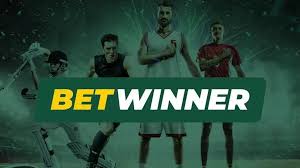 Explore BetWinner BF Online Betting Platform A Comprehensive Guide